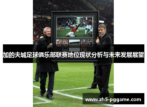 加的夫城足球俱乐部联赛地位现状分析与未来发展展望