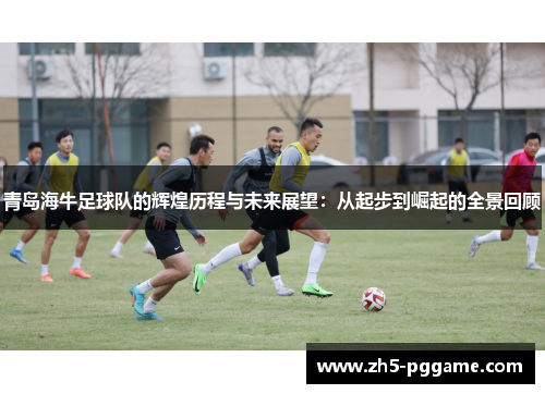 青岛海牛足球队的辉煌历程与未来展望:从起步到崛起的全景回顾 青岛海牛足球队的辉煌历程与未来展望:从起步到崛起的全景回顾
